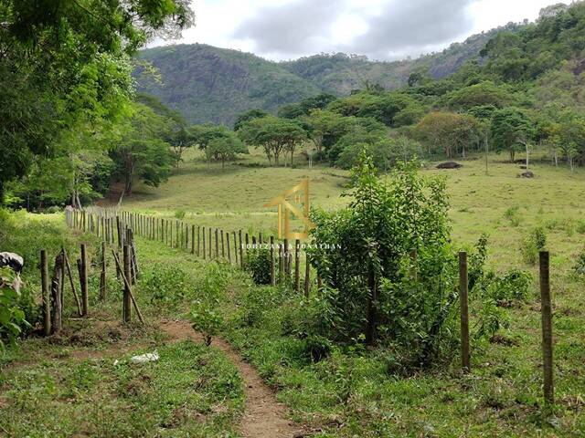#ST00002 - Sítio para Venda em São Roque do Canaã - ES